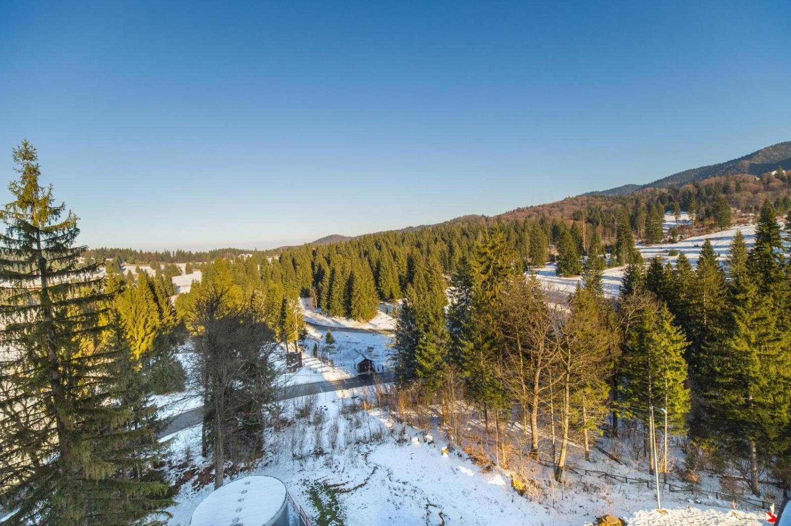 Charming Family Condo In Silver Mountain Пояна-Брашов Экстерьер фото