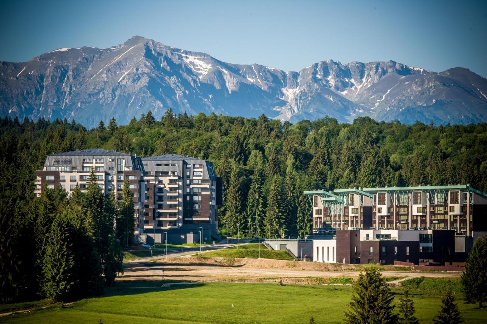 Charming Family Condo In Silver Mountain Пояна-Брашов Экстерьер фото